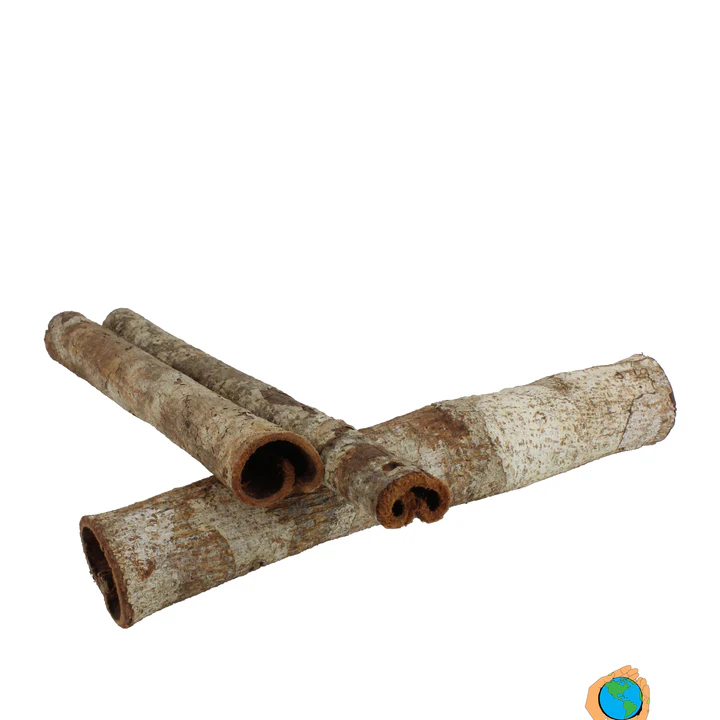 Catappa Bark tubes - 1x
