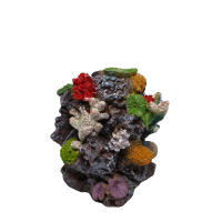 Coral Mix Stone