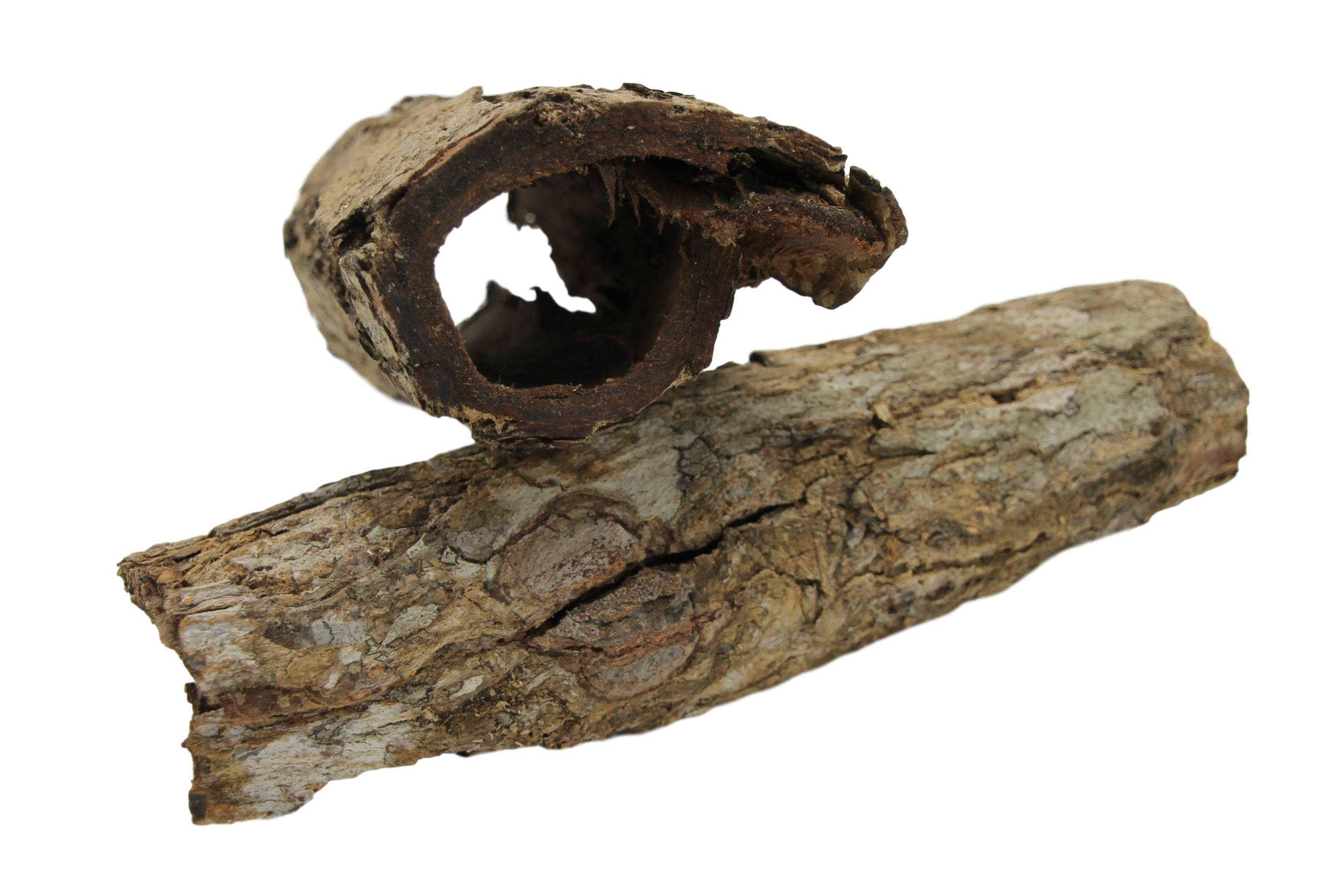 Catappa Bark tubes - 1x