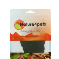 Mulberry leaves 10x