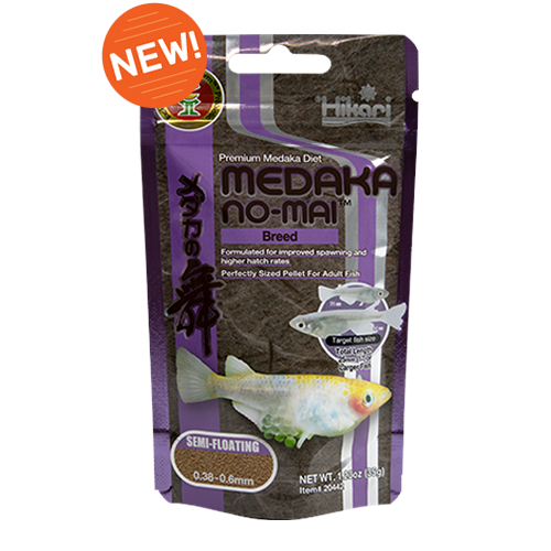 Hikari Medaka No-Mai Breed