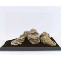 Yangtze River Aquascaping Stones – Natural Rounded Aquarium Rock