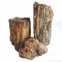 Fossilized Wood ( M ) – Natural Petrified Aquarium Stone