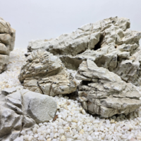 Geo Rock ( M ) – Premium Aquascaping Stones with Natural Facets
