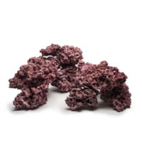 Reef Rocks