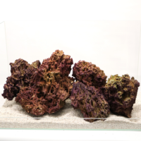 Jurassic Reef Rock ( L ) – Premium Eco-Friendly Fossil Reef Rock for Marine Aquariums