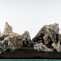 Tsingy Rock – Premium Natural Aquascaping Stone