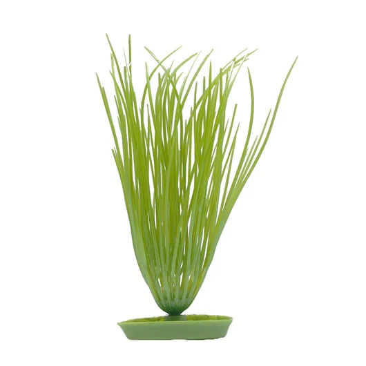 Marina AquaScaper 12.5cm Hairgrass-V