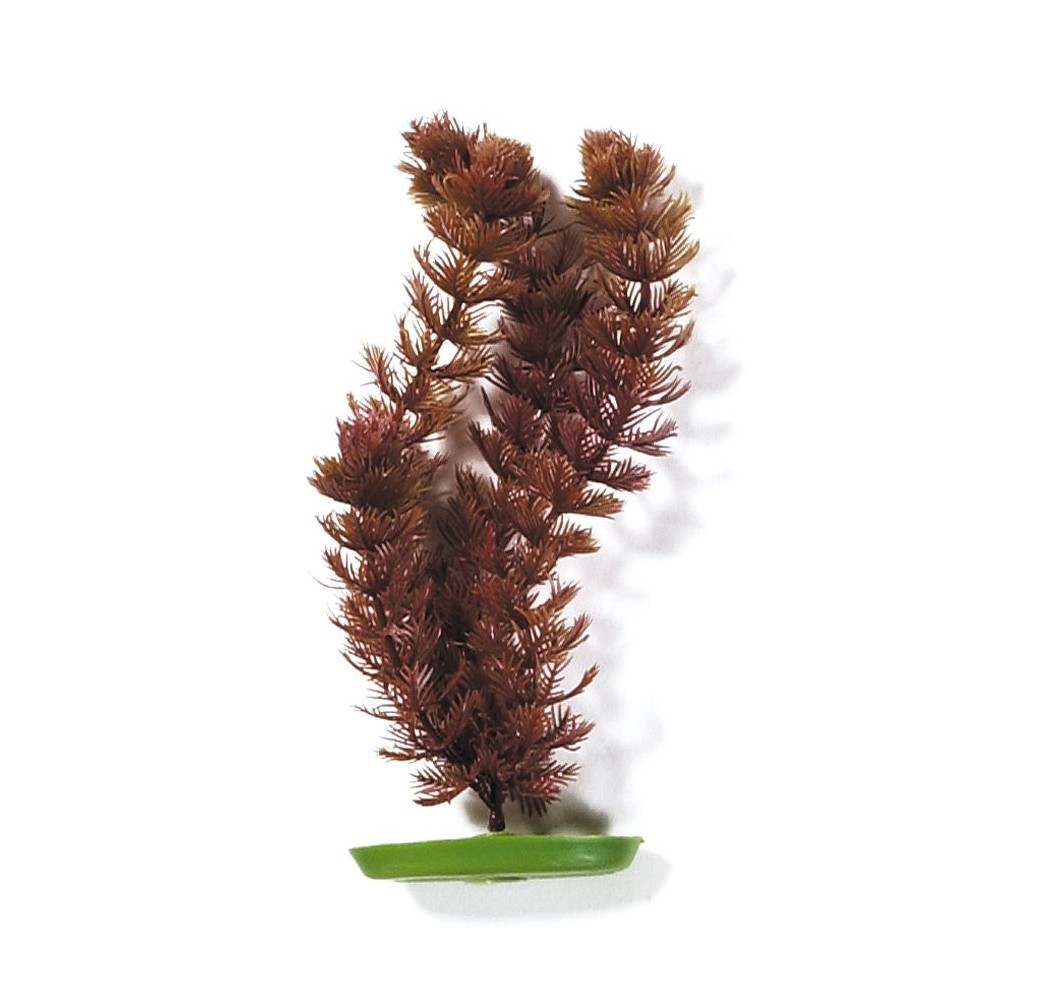 Marina AquaScaper 30cm Foxtail-V