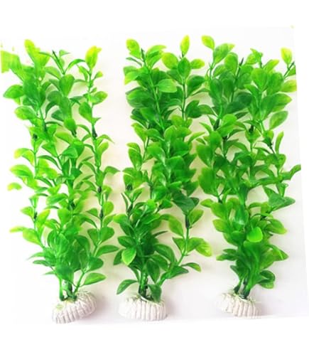 Marina AquaScaper 30cm Hygrophila-V