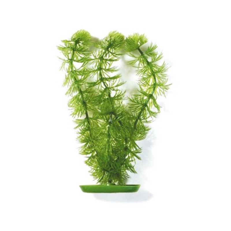 Marina AquaScaper 30cm Hornwort-V