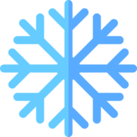 Frozen Food