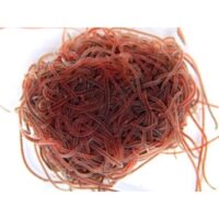 California Blackworms (90ml) – High-Protein Live Superfood for Tropical Fish