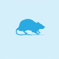 Stoffels Frozen Fuzzy Mice (6g) – 9 Piece Blister Pack